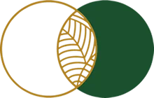 a_logo